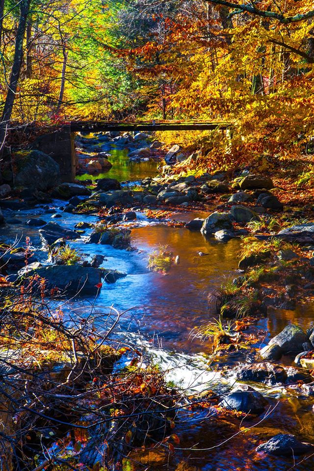 Town of East Granby Visit CT